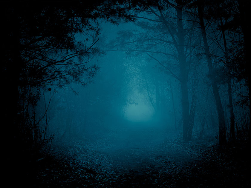 My greatest fear is...