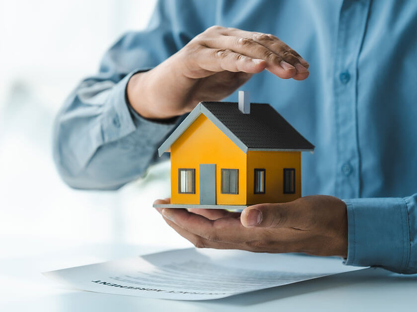 Local Market Insight