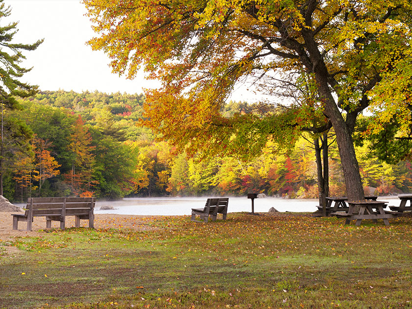 360 Acre Commons